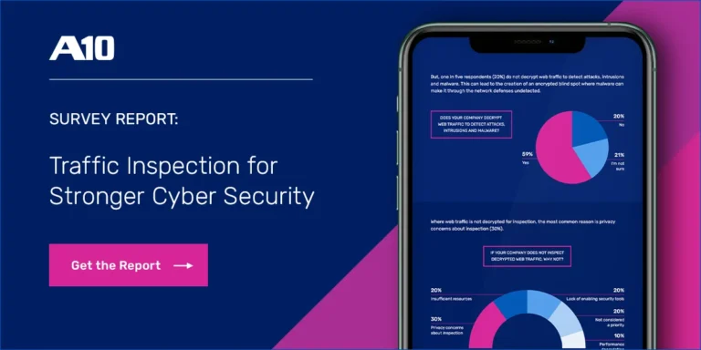 Addressing the TLS/SSL encryption blind spot