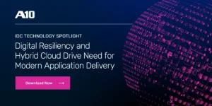 Digital Resiliency and Hybrid Cloud Drive Need for Modern Application Capacity