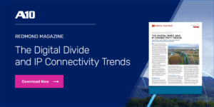 The Digital Divide and IP Connectivity Trends