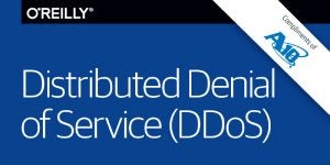 Distributed Denial of Service (DDoS)