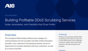 Building Profitable DDoS Scrubbing Services Solution Brief