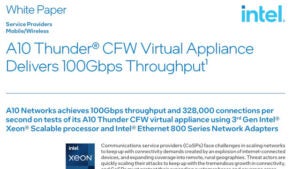 Screenshot of the whitepaper titled 'A10 Thunder® CFW Virtual Appliance Delivers 100Gbps Throughput'