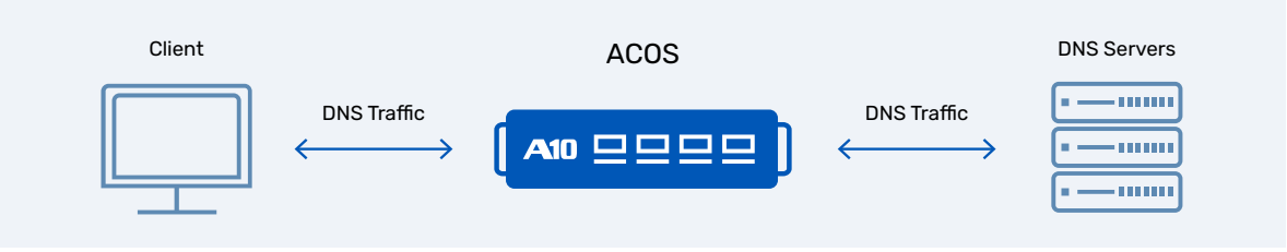 Figure 1. DNS Deployment and Feature Integration in A10 Thunder ADC