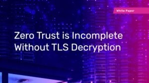 Zero Trust is Complete Without TLS Descryption