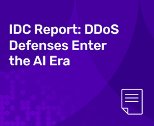 IDC Report: DDoS Defenses Enter the AI Era