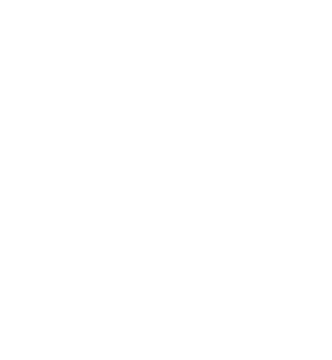 Leaseweb Logo