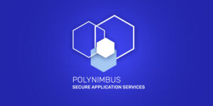 Webinar: Polynimbus Approach: How to Manage a Multi-Cloud Application Delivery Effectively?