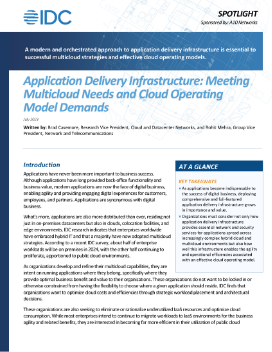 Preview of the IDC Multicloud Needs report document