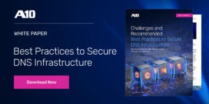 Download Now, White Paper: Challenges and Recommended Best Practices to Secure DNS Infrastructure
