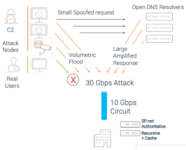 Diagram showing how DNS attacks are delivered via volumetric floods or amplified responses