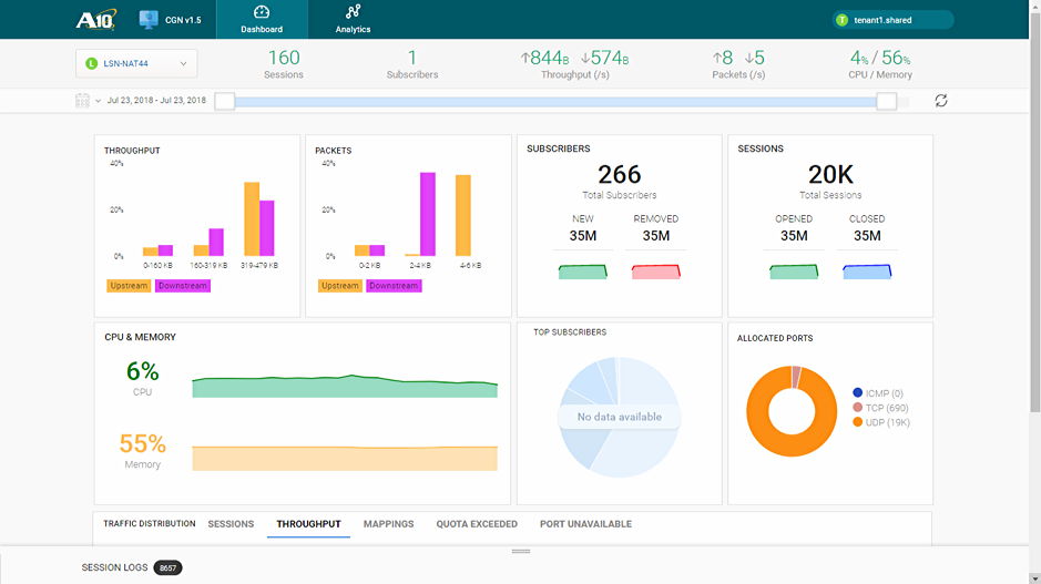 A10 Harmony CGN App Traffic Dashboard