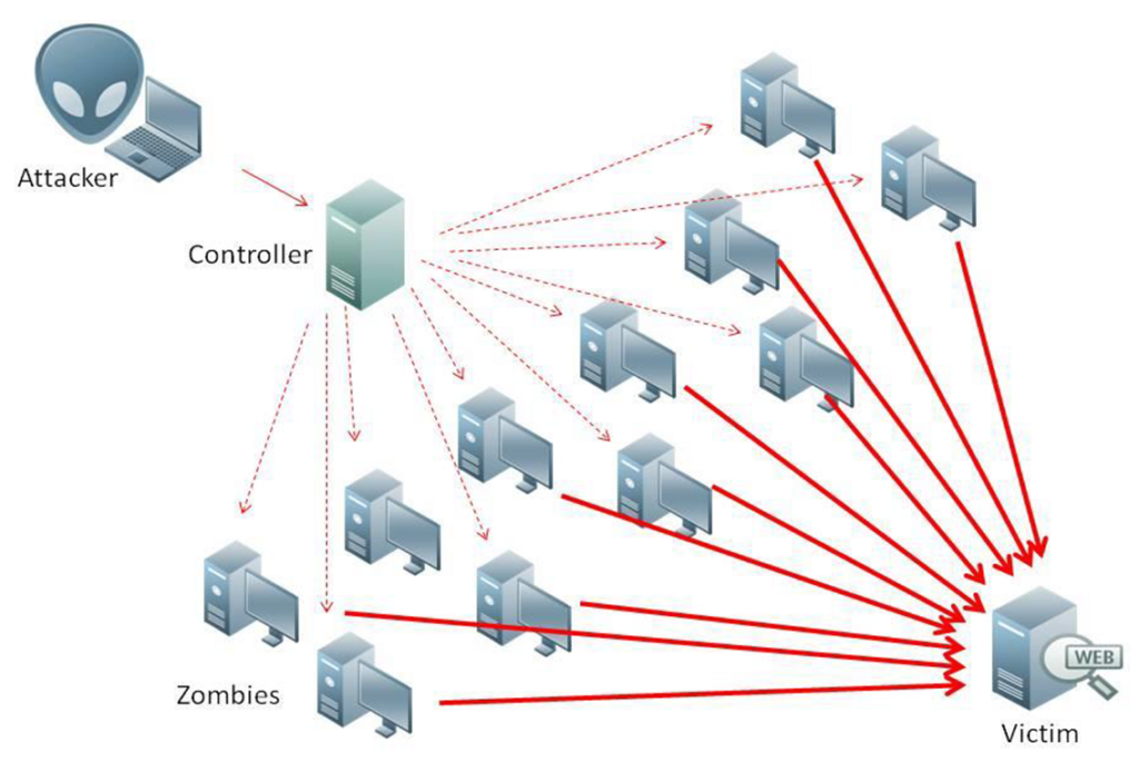 How IoT zombie perform DDoS attacks