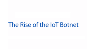 The Rise of the IoT Botnet